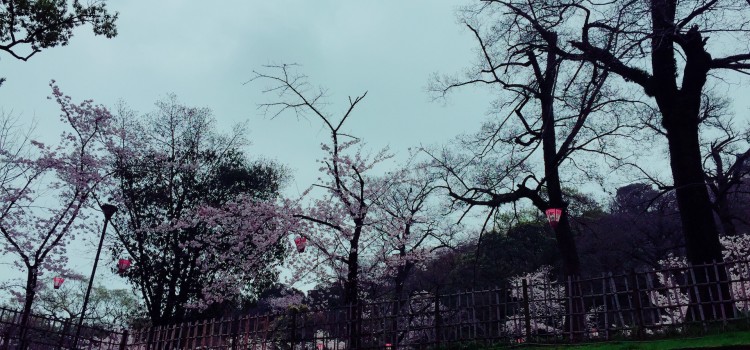 平成28年度新歓特設ページを開設しました